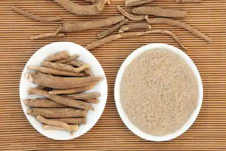 Ashwagandha root and powder in white bowl