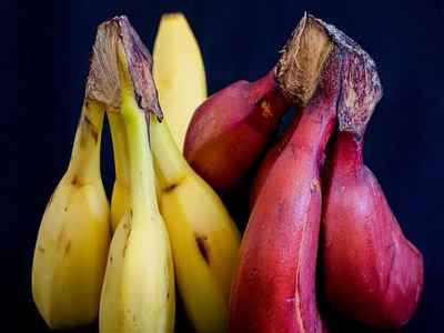 Cavendish Banana and Red Banana