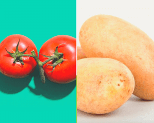 Tomato & potato