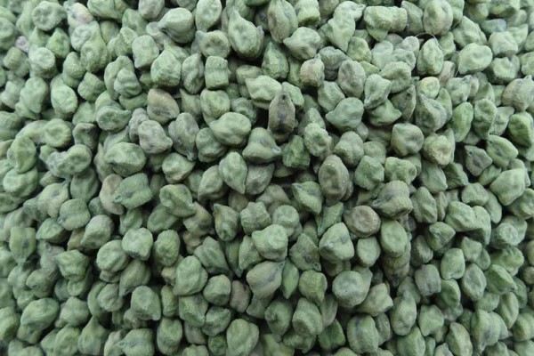 dried-green-chickpeas