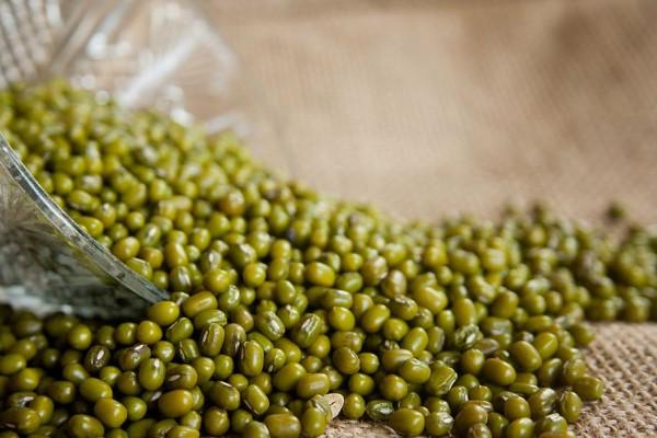mung-beans-vigna-radiata-moong-bean-green-gram