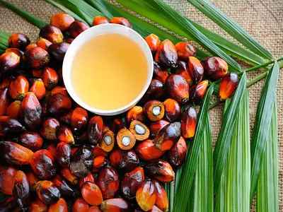 palm oil with palm fruits