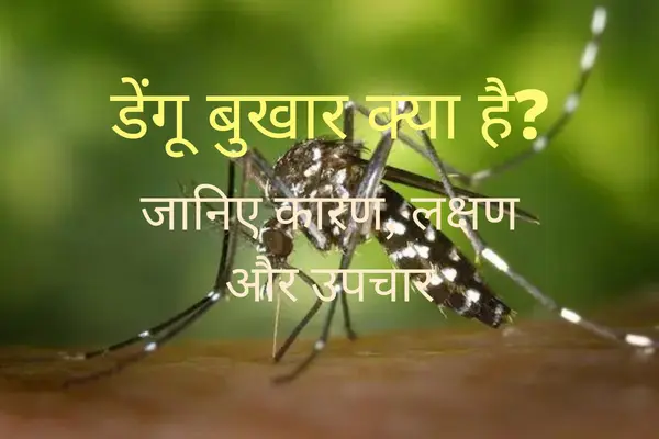 डेंगू बुखार क्या है