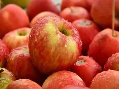 Apple immunity booster fruits