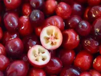 sour Cranberry fruit