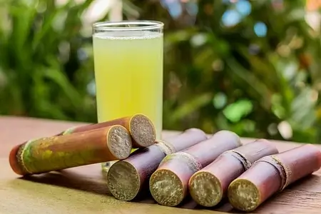 sugarcane juice and sugarcane
