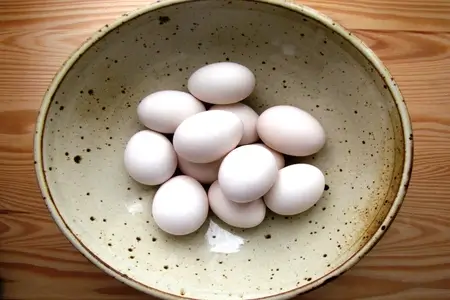 bantam eggs