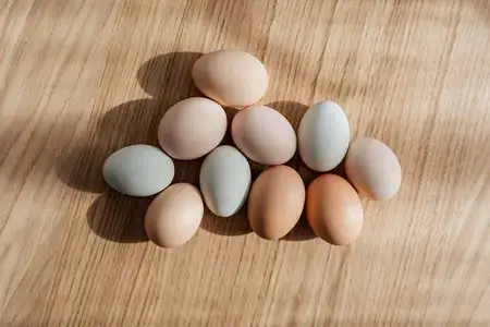 White and red types of chicken eggs on the table