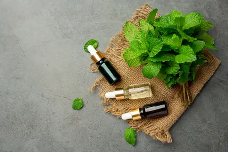 apply-peppermint-oil-to-reduce-migraine-attacks